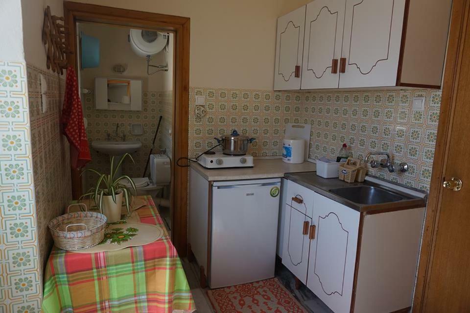 Apartament Artemis House Karpatos Zewnętrze zdjęcie